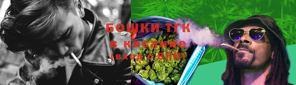 ГАЛЛЮЦИНОГЕННЫЕ ГРИБЫ Вяземский