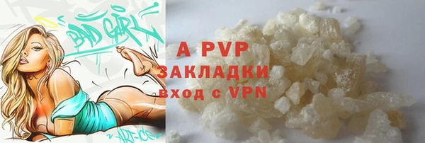ГАЛЛЮЦИНОГЕННЫЕ ГРИБЫ Вяземский