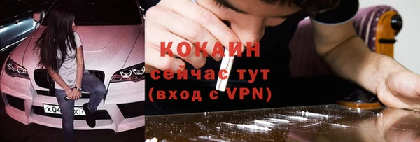 ГАЛЛЮЦИНОГЕННЫЕ ГРИБЫ Вяземский