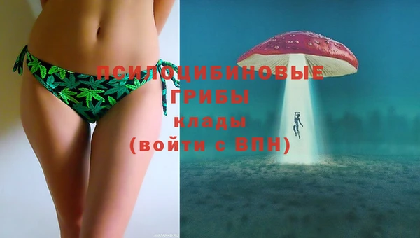 гидропоника Горняк