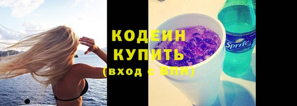 ГАЛЛЮЦИНОГЕННЫЕ ГРИБЫ Вяземский