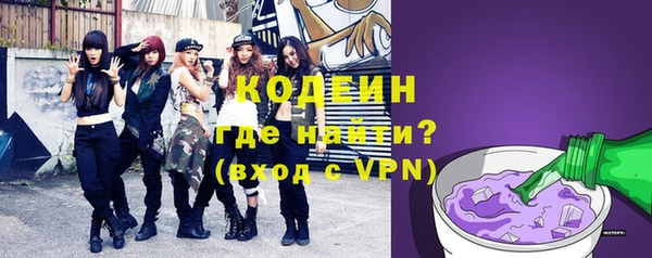 ГАЛЛЮЦИНОГЕННЫЕ ГРИБЫ Вяземский