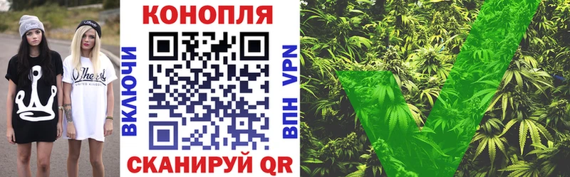 Бошки Шишки ГИДРОПОН  Купить закладки  Калтан 
